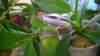WP_20161120_17_04_03_Pro.jpg