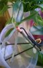 WP_20161120_17_02_18_Pro.jpg