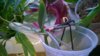WP_20161120_17_02_25_Pro.jpg