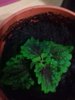 20161123_174739.jpg