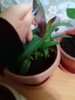 20161123_174731.jpg