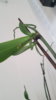 20161204_115231.jpg