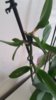 20161204_115215.jpg