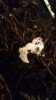20161021_185943.jpg