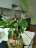 IMG_20170112_100243_HDR.jpg