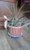 20170117_140024.jpg