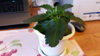20170121_152639.jpg