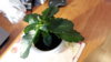 20170121_153024.jpg