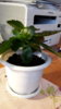 20170121_153034.jpg