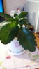 20170121_153042.jpg