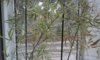 20170118_125728.jpg