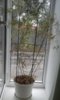 20170118_125734.jpg