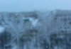 20170126_101901.jpg