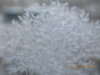 DSCN0397.JPG