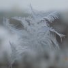 DSCN0402.JPG