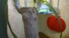 WP_20170128_019.jpg