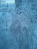 20170129_083148.jpg