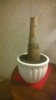 WP_20170129_008.jpg