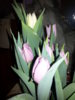 20170205_091050.jpg