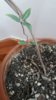 20170203_122319-1200x2133.jpg