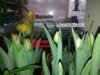 20170213_111405 - копия.jpg