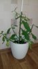 20170217_161433.jpg