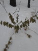 20161129_112435.jpg