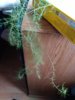 IMG_20170221_092017.jpg