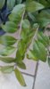 20170223_170914-1200x2133.jpg