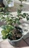 20170224_113420-1200x1987.jpg