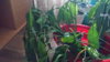 20170306_134503.jpg