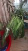 20170306_134546.jpg