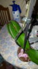 20170306_124046.jpg