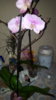 20170306_124056.jpg