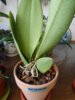 DSCN7677.JPG
