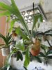 DSCN7678.JPG