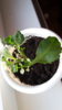 20170309_170519.jpg