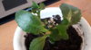 20170309_170555.jpg