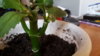 20170309_170604.jpg