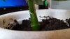 20170309_170643.jpg