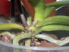 DSCN0144.JPG