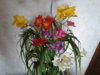 20170309_103000.jpg