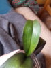 20170312_131504.jpg