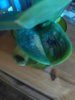 IMG_20170312_153926.jpg