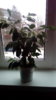 P_20170317_150924.jpg