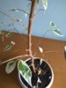 IMG_20170317_104849.jpg