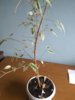 IMG_20170317_104843.jpg