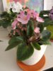IMG_20170317_100918.jpg
