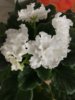 IMG_20170317_103330.jpg