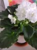 IMG_20170322_170323.jpg